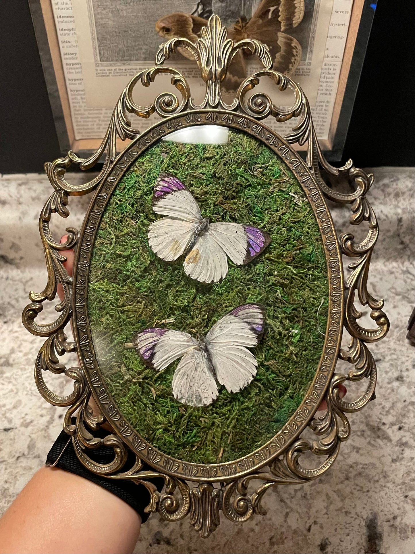 ***SOLD***Vintage Frames Purple Tipped Butterfly