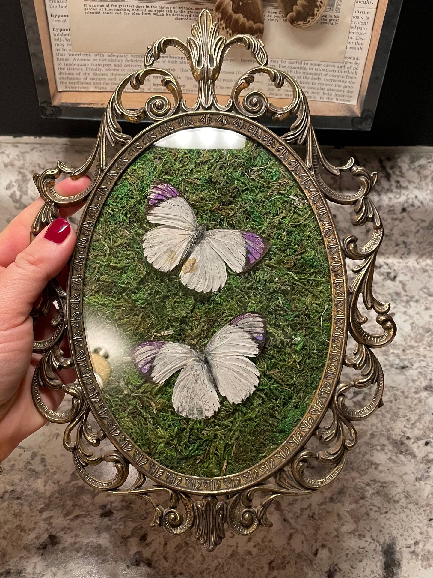 ***SOLD***Vintage Frames Purple Tipped Butterfly