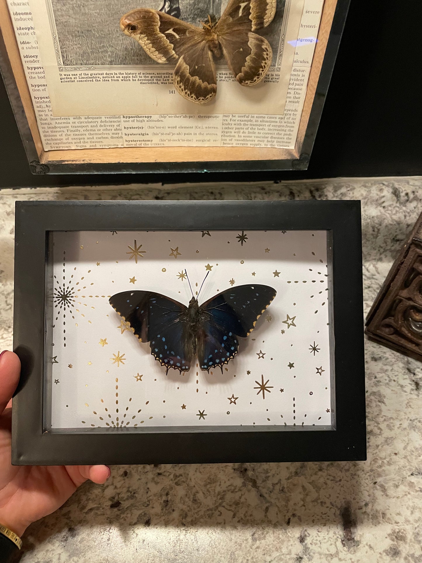 *SOLD***Starry Night Butterfly Frame