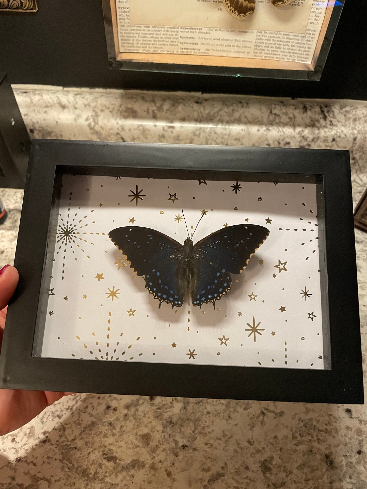 *SOLD***Starry Night Butterfly Frame