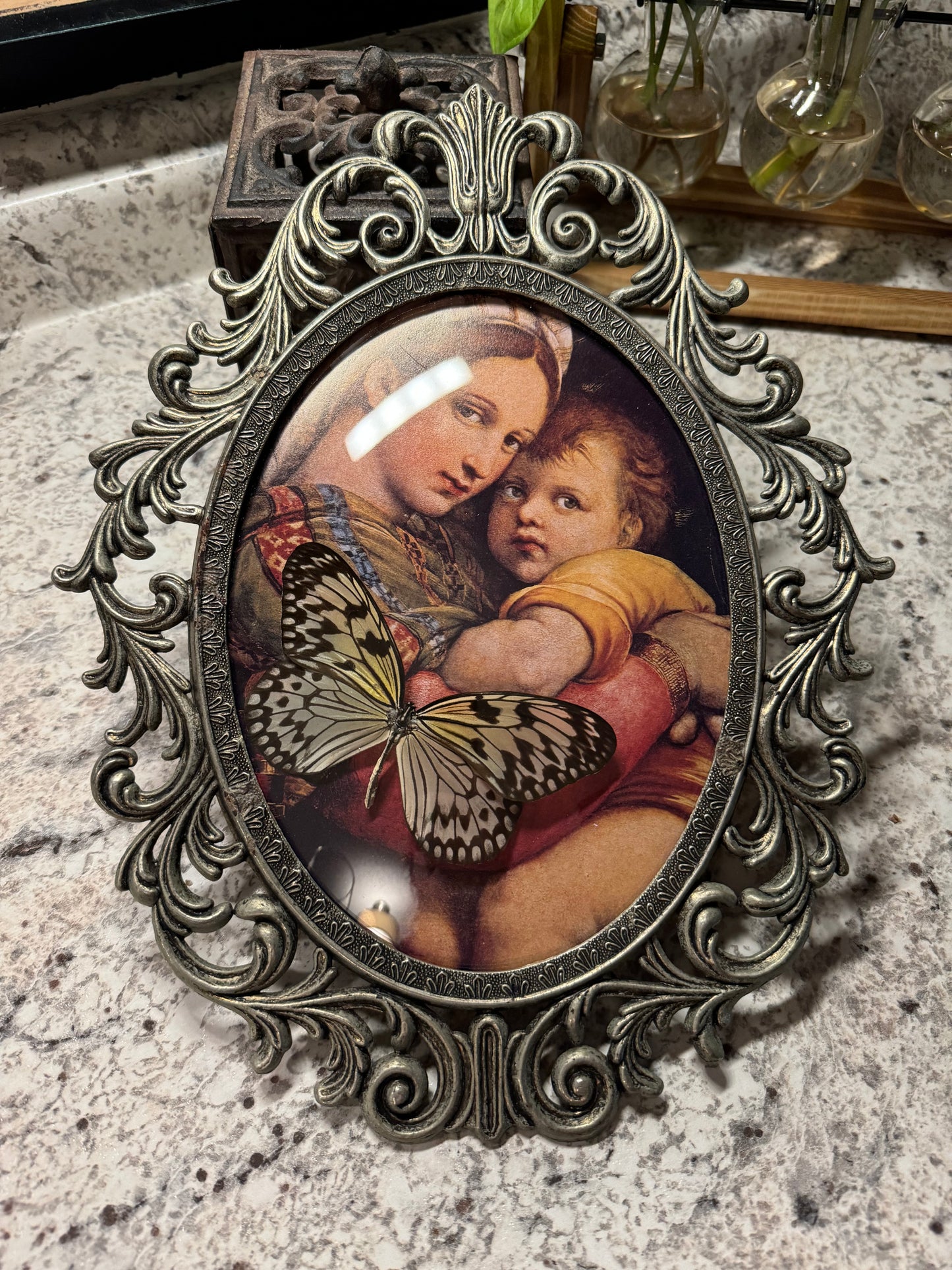 Italian Vintage Frame Nymph Butterfly