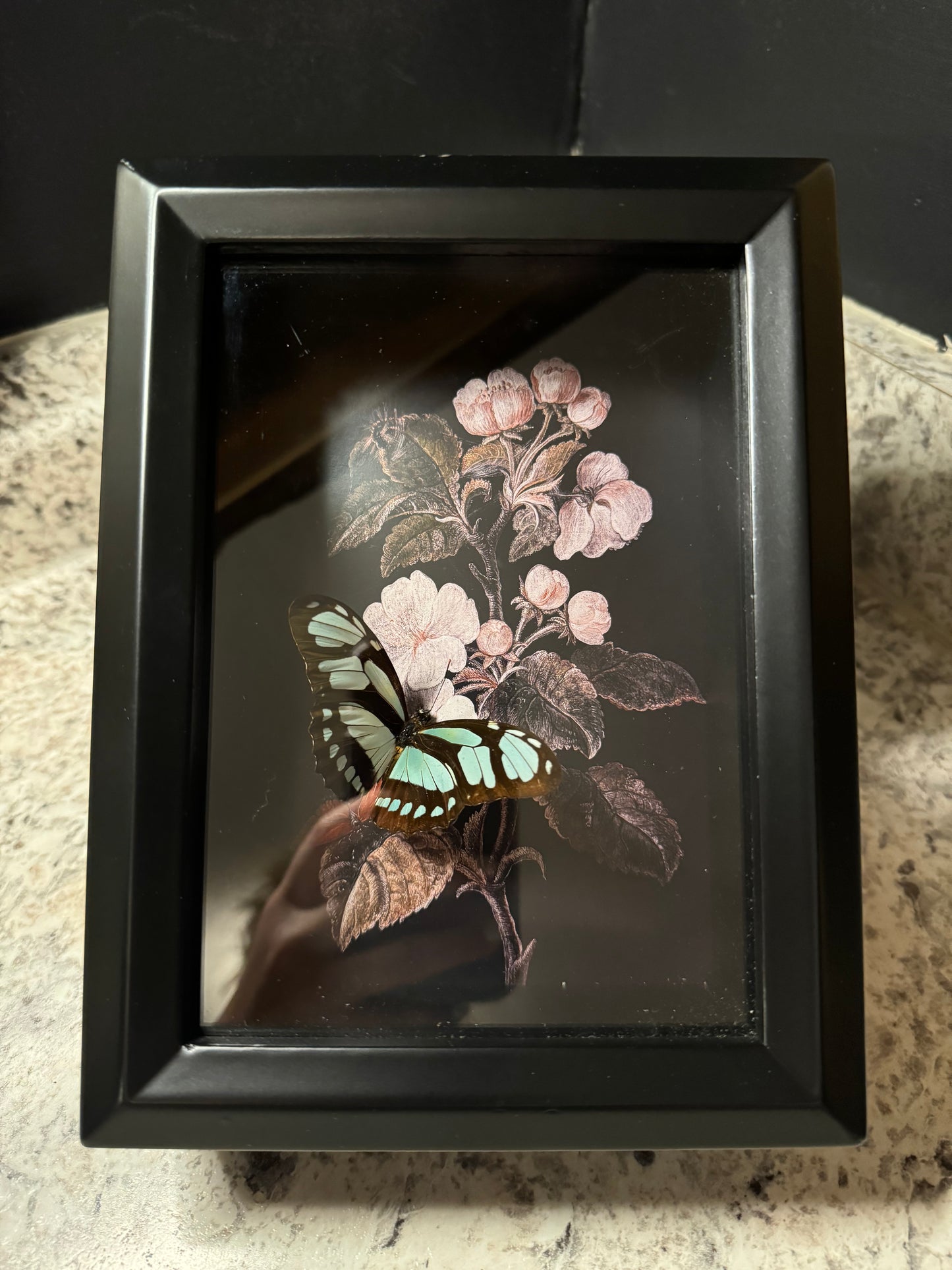 Dido Shadowbox