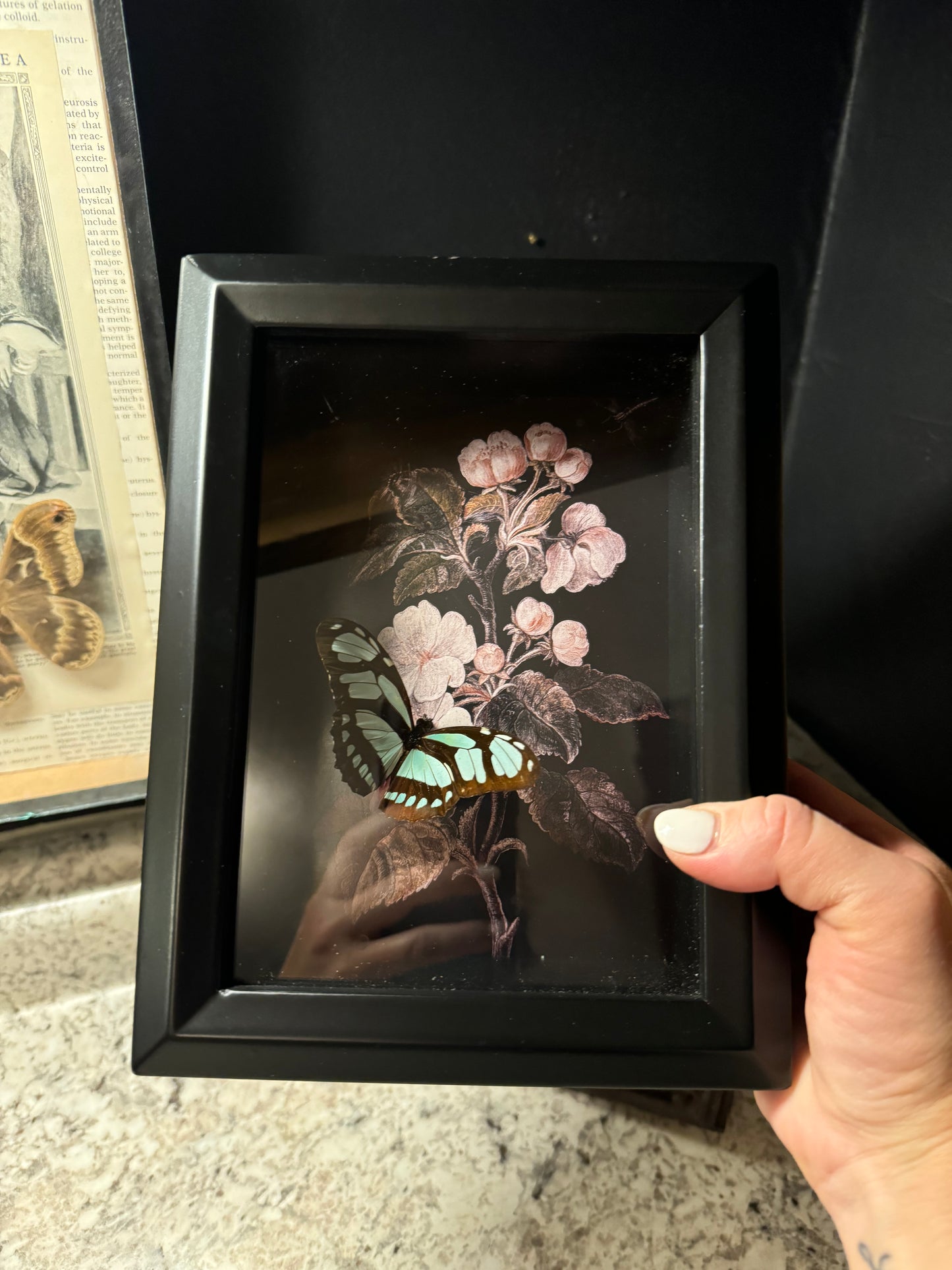 Dido Shadowbox