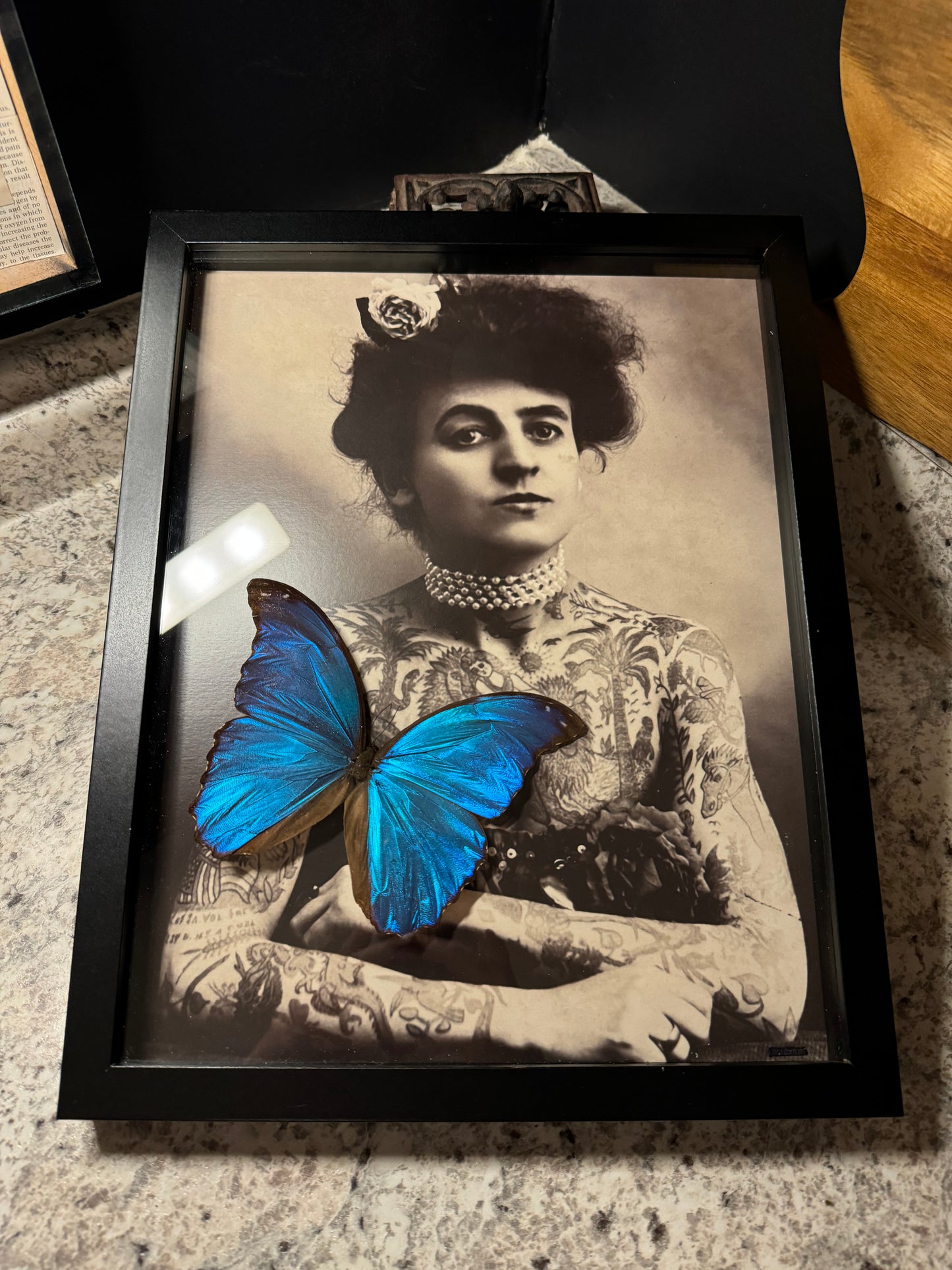 Maude Wagner Morpho Frame