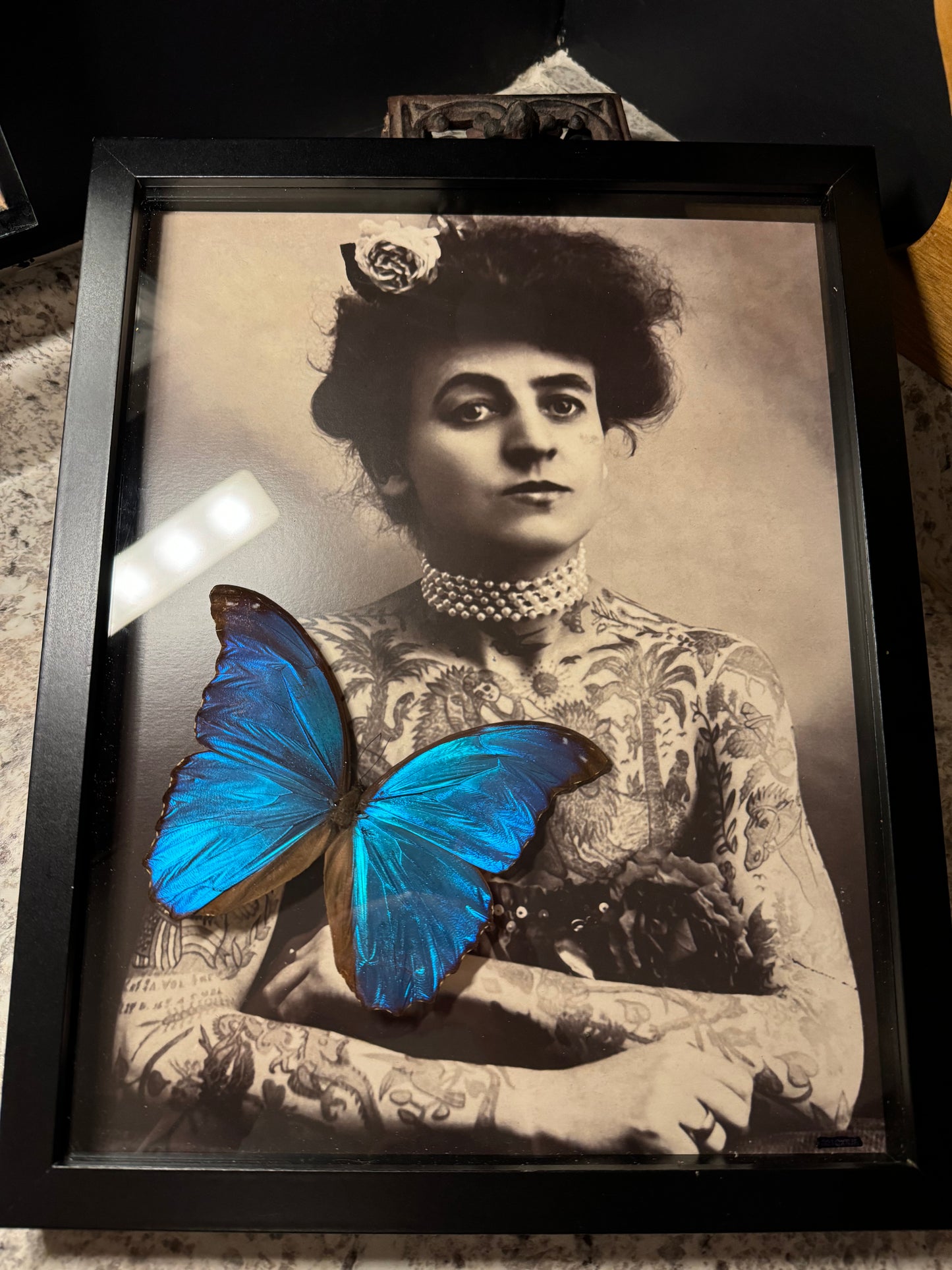 Maude Wagner Morpho Frame