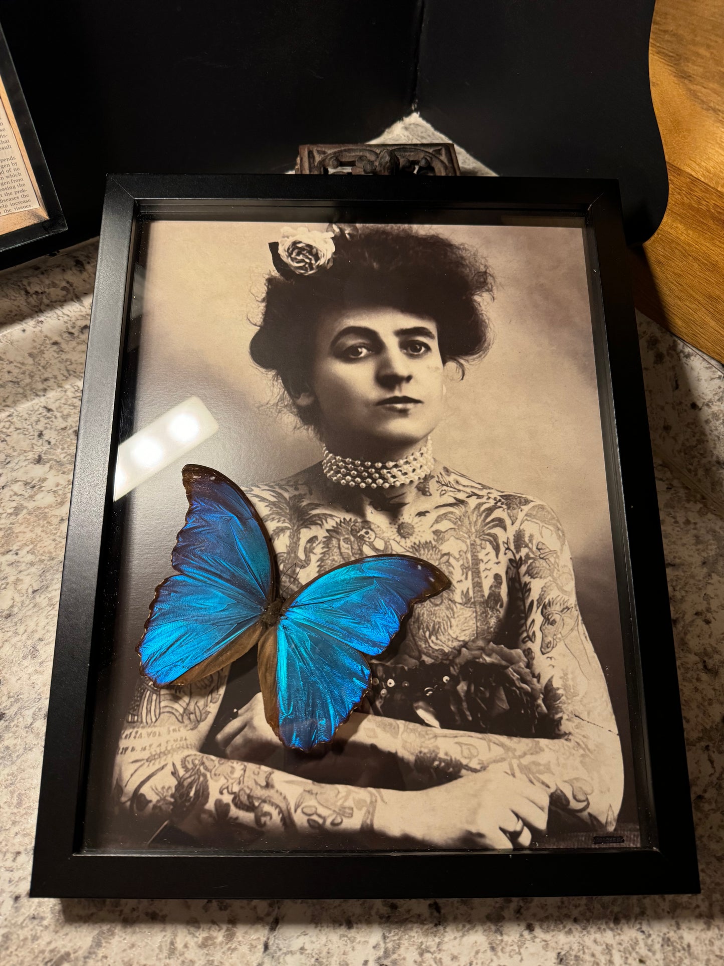 Maude Wagner Morpho Frame