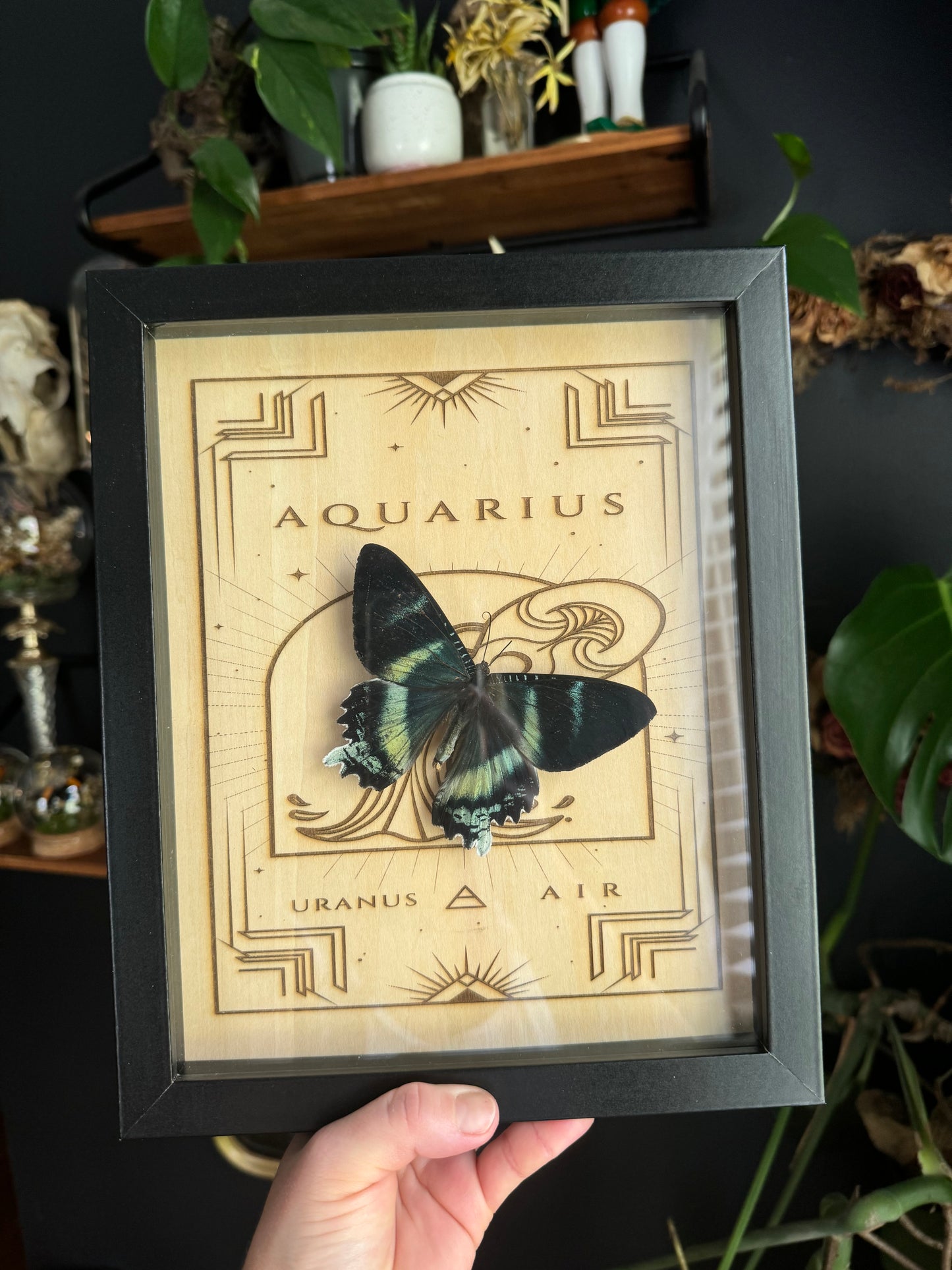 ***SOLD***Aquarius Frame