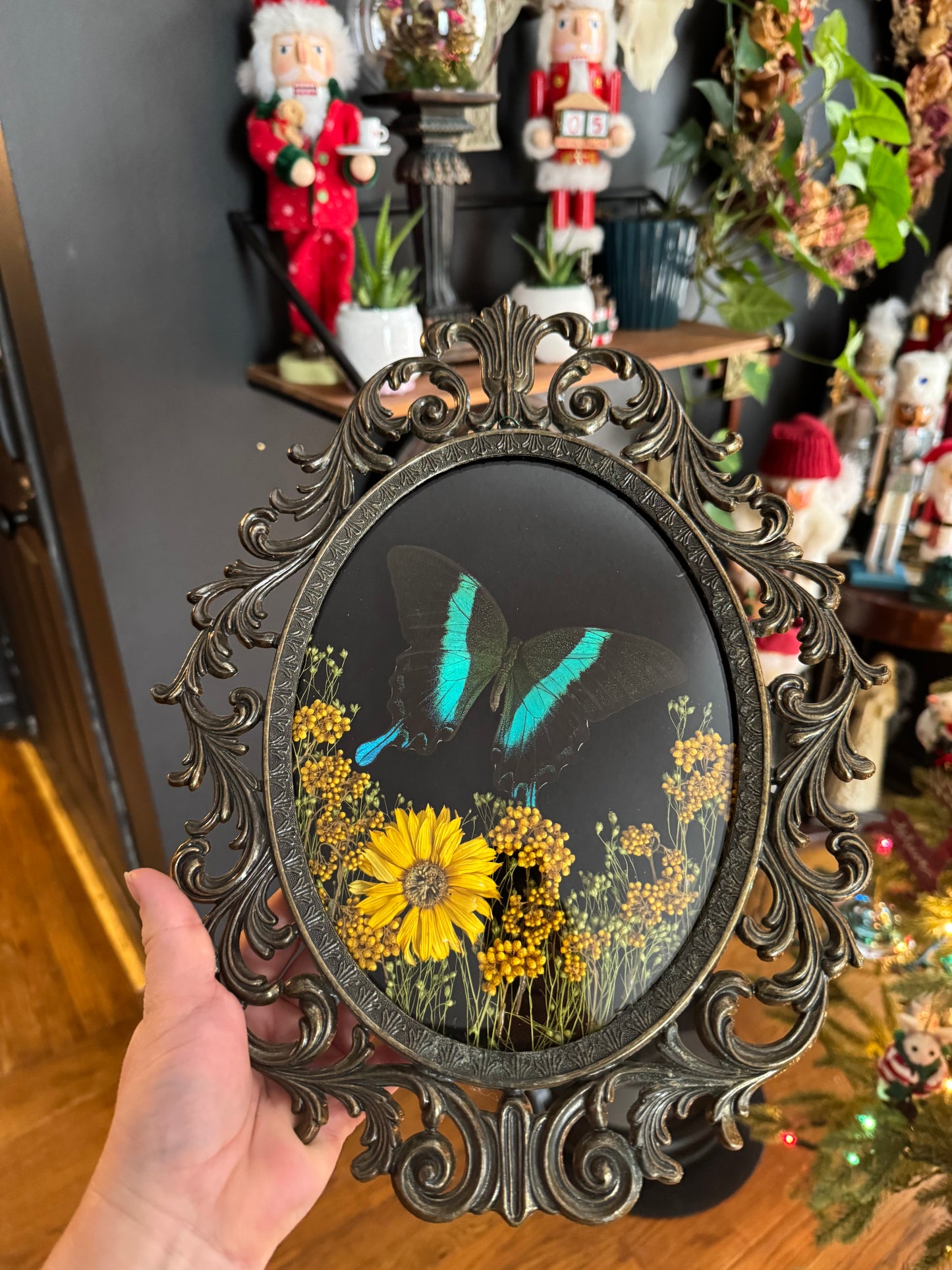 *SOLD*Peacock Swallowtail Vintage Frame