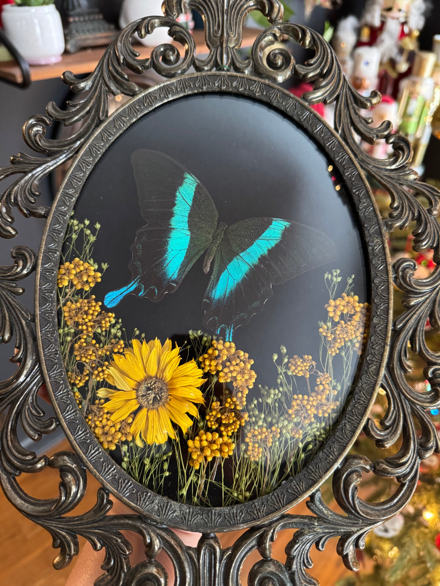 *SOLD*Peacock Swallowtail Vintage Frame