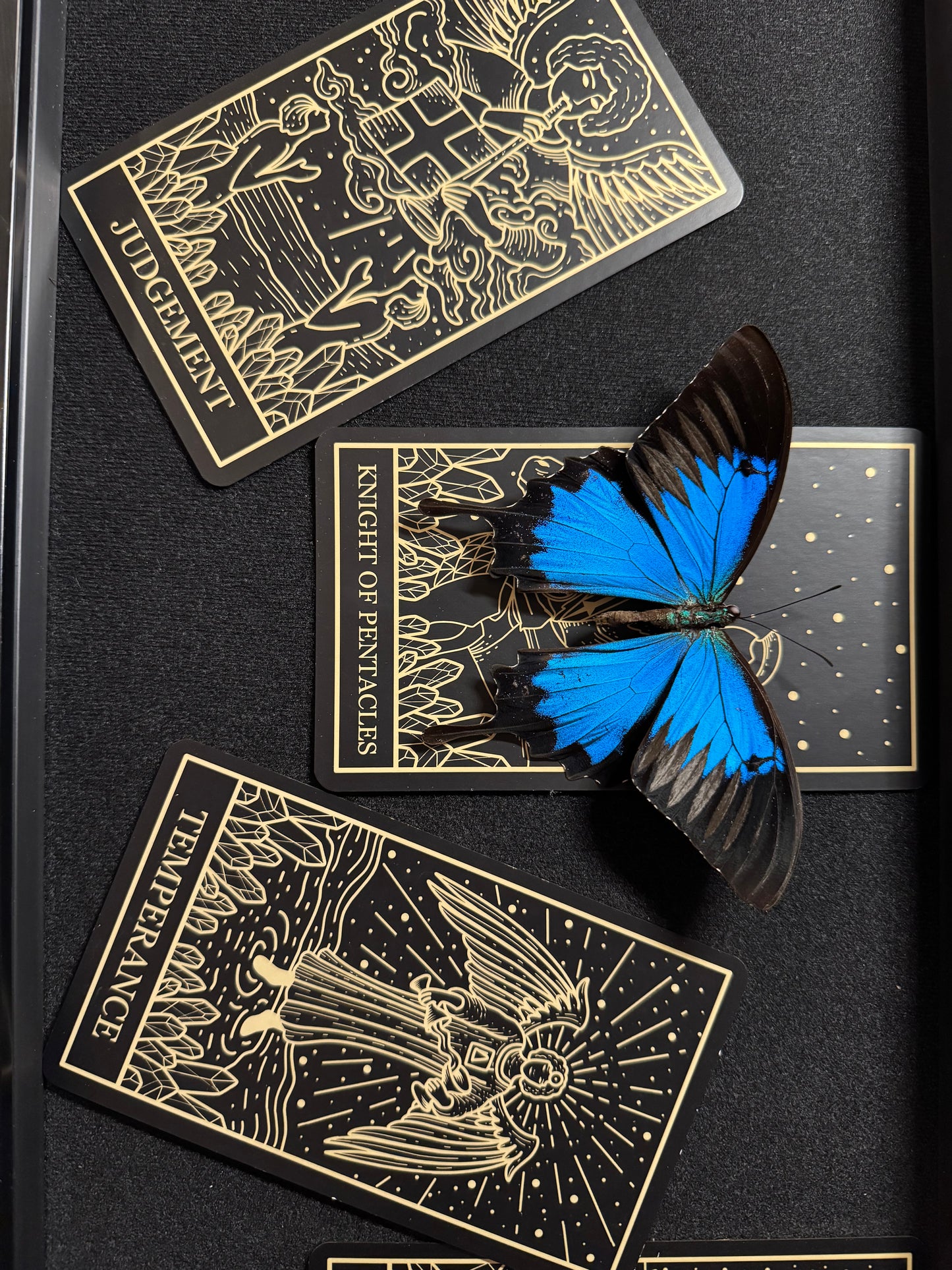 The Relationship Layout Blue Mountain Butterfly